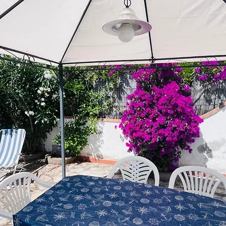 Giglio D'oro - Elba Affitti Apartman Portoferraio
